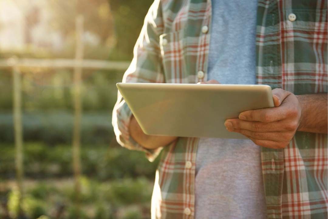 De Groene Gids App van Delphy geeft een beoordeling van de werking van groene middelen en legt uit hoe de wettelijke toelating van stoffen en producten in elkaar zit. - Foto: Canva/shapecharge