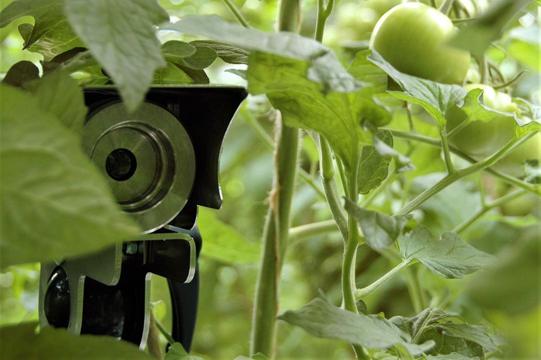 Dossier V10 en gebruik in Nederland lijkt gesloten na onderzoek illegaal gebruik. Foto: Peter Visser
