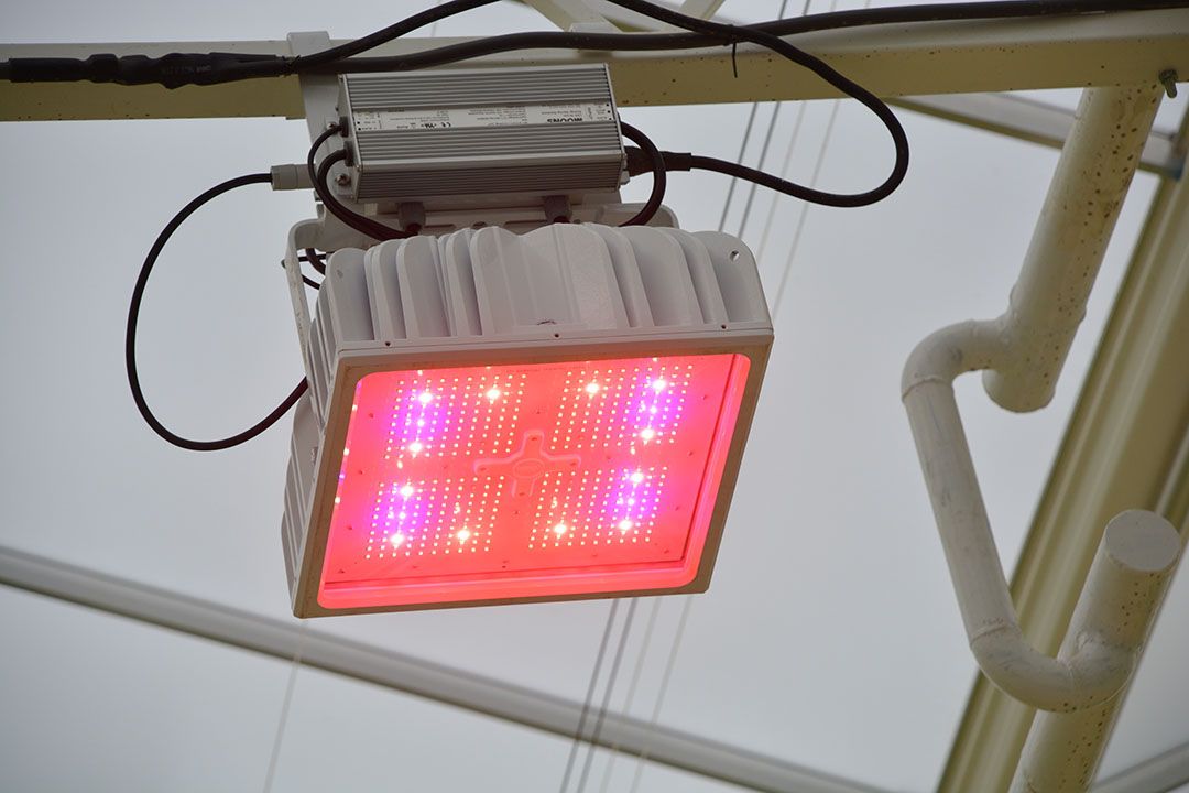 Son-T armaturen zijn 1:1 vervangbaar door de Hyperion led-modules.