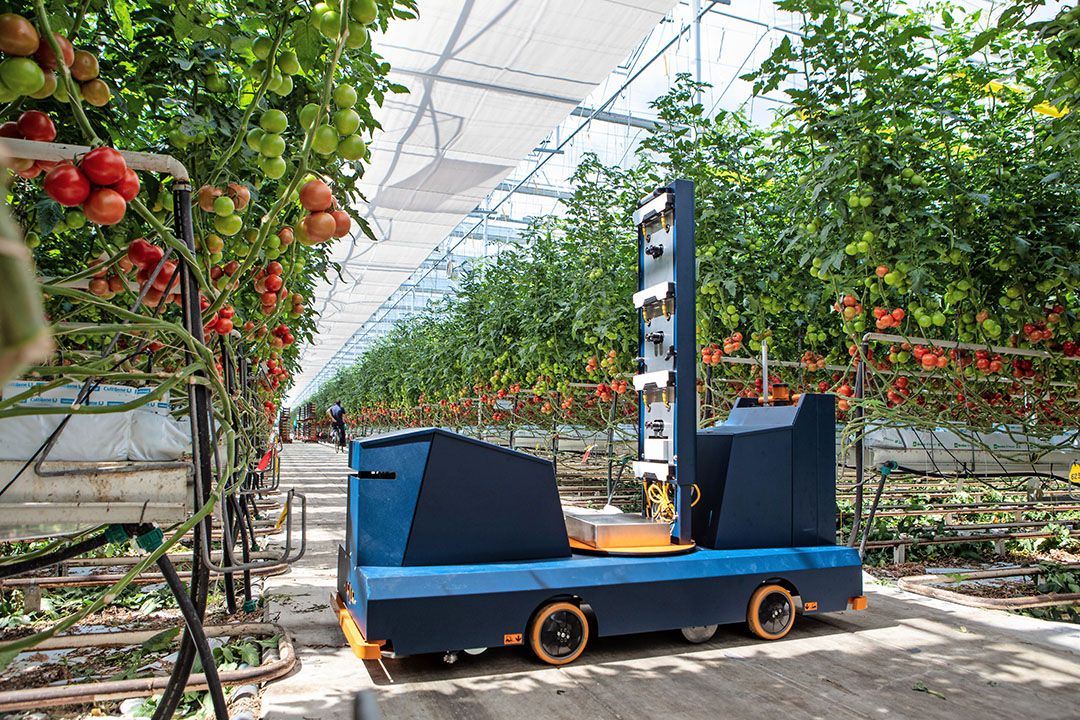 De Plantalyzer legt volkomen autonoom zijn uitgestippelde route af. - Foto: HortiKey