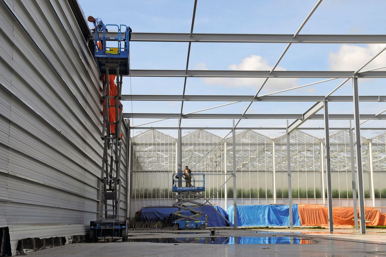 Wkk mag in Westland gebouwd worden zonder natuurvergunning. Foto: Wick Natzijl Fotostudio
