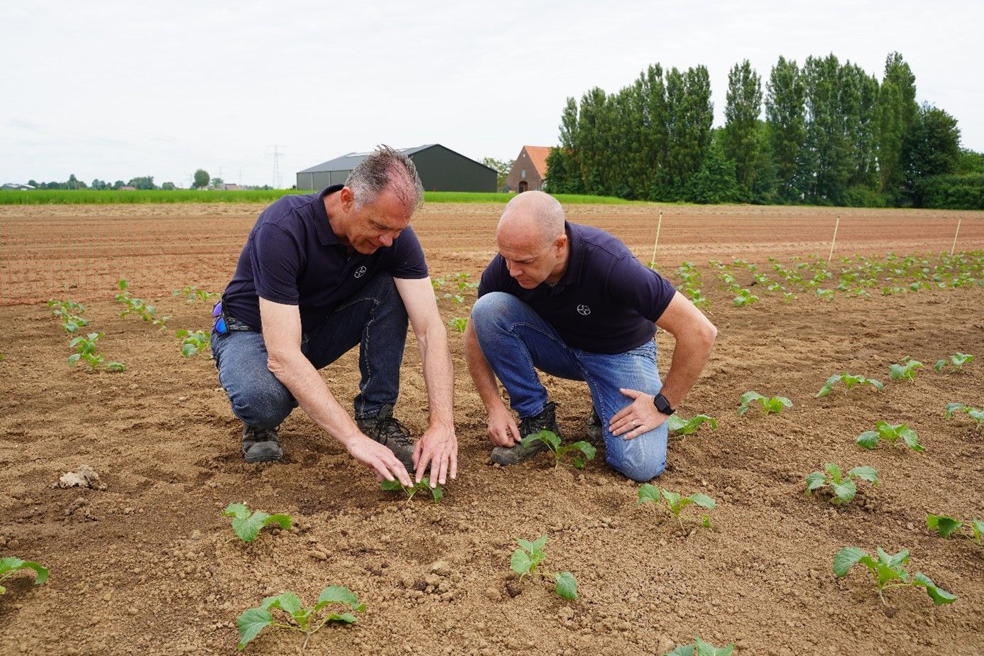 Henko Klement en Stefan van Heist bekijken het proefobject met savooiekool.