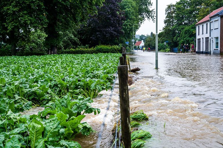 Wateroverlast in Zuid-Limburg na extreme hoosbuien in de zomer van 2021. Foto: Bert Jansen