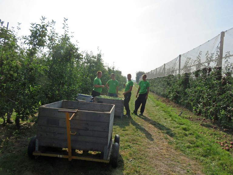 Foto: Groenten en Fruit