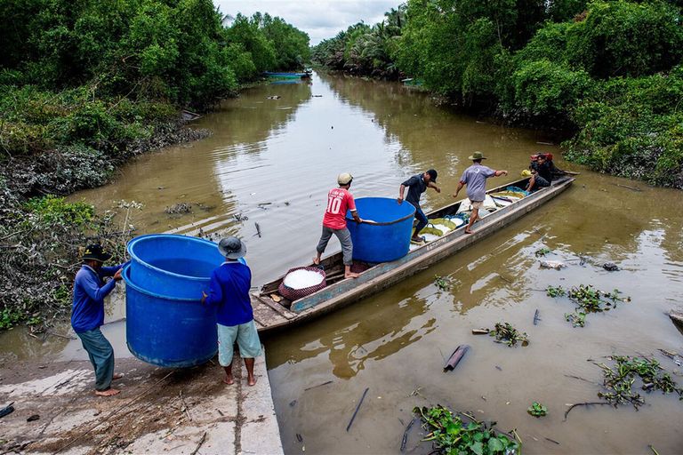 Vietnamese vissers gaan het water op. - Foto: ANP