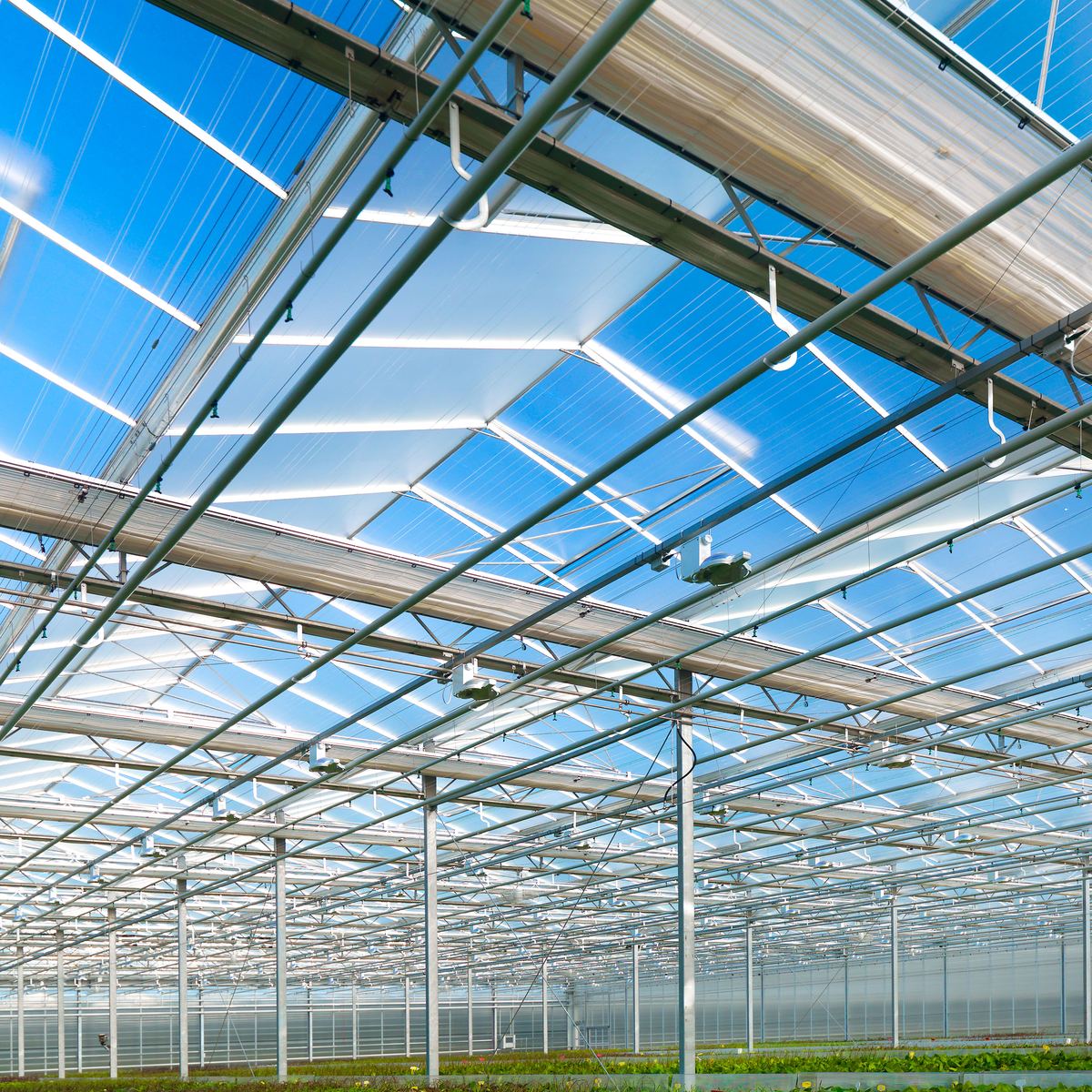 Herstelplan Veerman eind deze week van start