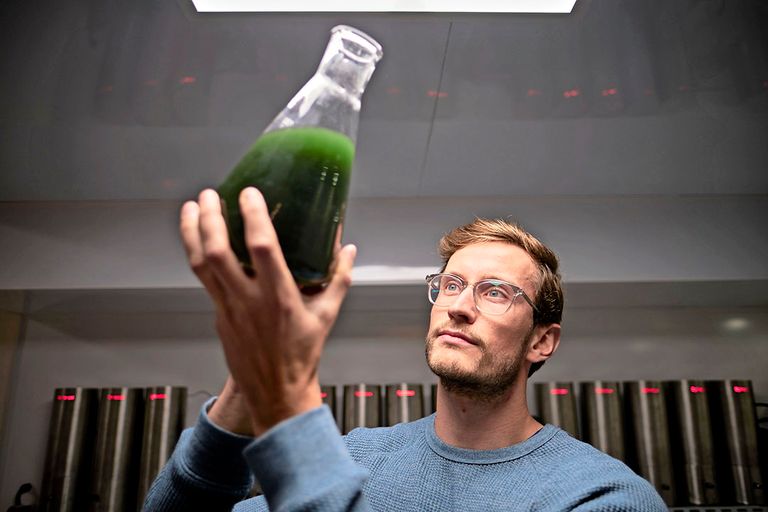 Lars Oostveen, business developer bij Spireaux, met de spirulina voor de testreactoren waarin proeven worden gedaan met de kweek van spirulina. - Foto: Fred Libochant