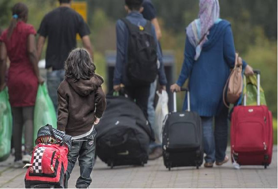 Westland: geen verdringing plukkers door vluchtelingen