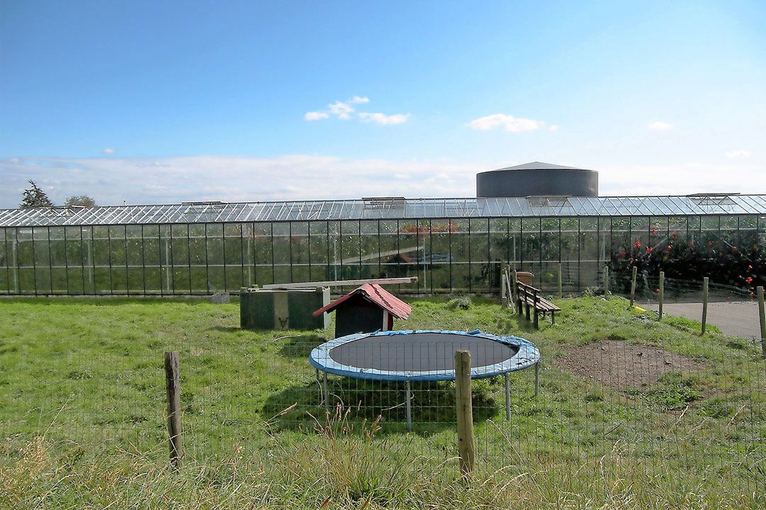 Wonen en werken combineren in Westlands kassengebied Broekpolder vergt een nieuw totaalplan. - foto: Ton van der Scheer