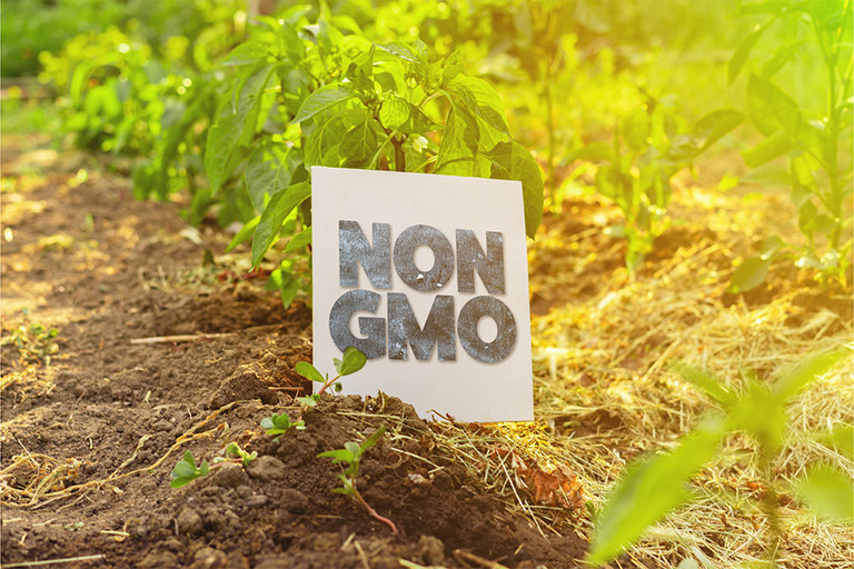 non-gmo soja