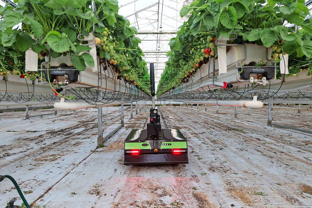 De toepassing van UV-C is een van de 150 tools in de toolbox van SmartProtect - Foto: Bert Jansen