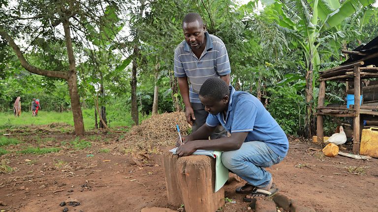 Door de verkoop van jonge jackfruit aan Fiber Foods, hebben boeren in Oeganda en Kenia het hele jaar door een extra inkomstenbron.