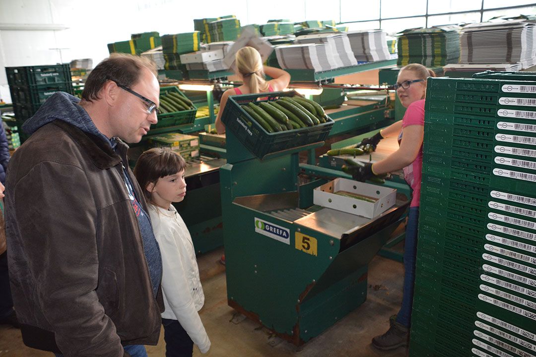 Bedrijf in glastuinbouwgebied in Tinte. - Foto: Peter Visser