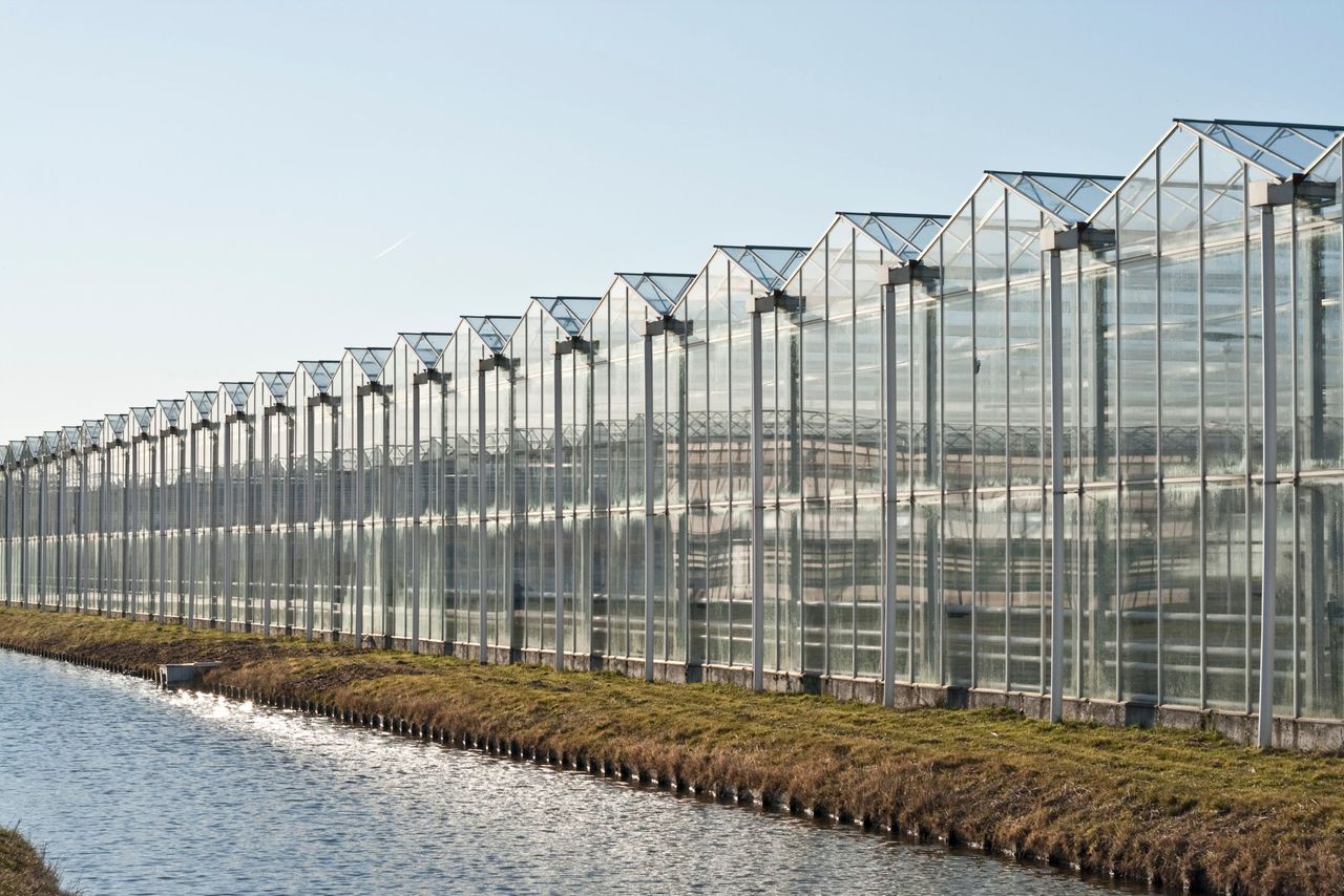 In zeven jaar vòòr 2024 is in totaal 49 keer de BL ingezet in de glasgroentesector. Foto: Canva