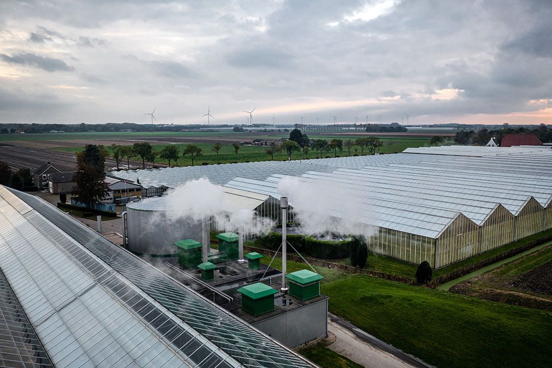 Glasgroentetelers hadden een meer afwachtende houding; daar was sprake van slechts een enkele uitbreiding of overname. - Foto: Rob Engelaar/ANP