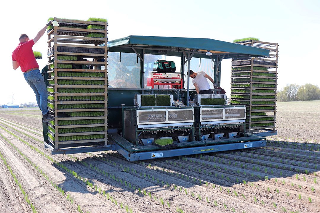 Voor planter-uitvoeringen met een rijafstand vanaf 50 centimeter is een optisch selectiesysteem mogelijk voor niet-ontwikkelde of te klein planten. Die vallen naast de voorraadbekers, het voorraadsysteem vult dit  gat  in de aanvoer vervolgens op.