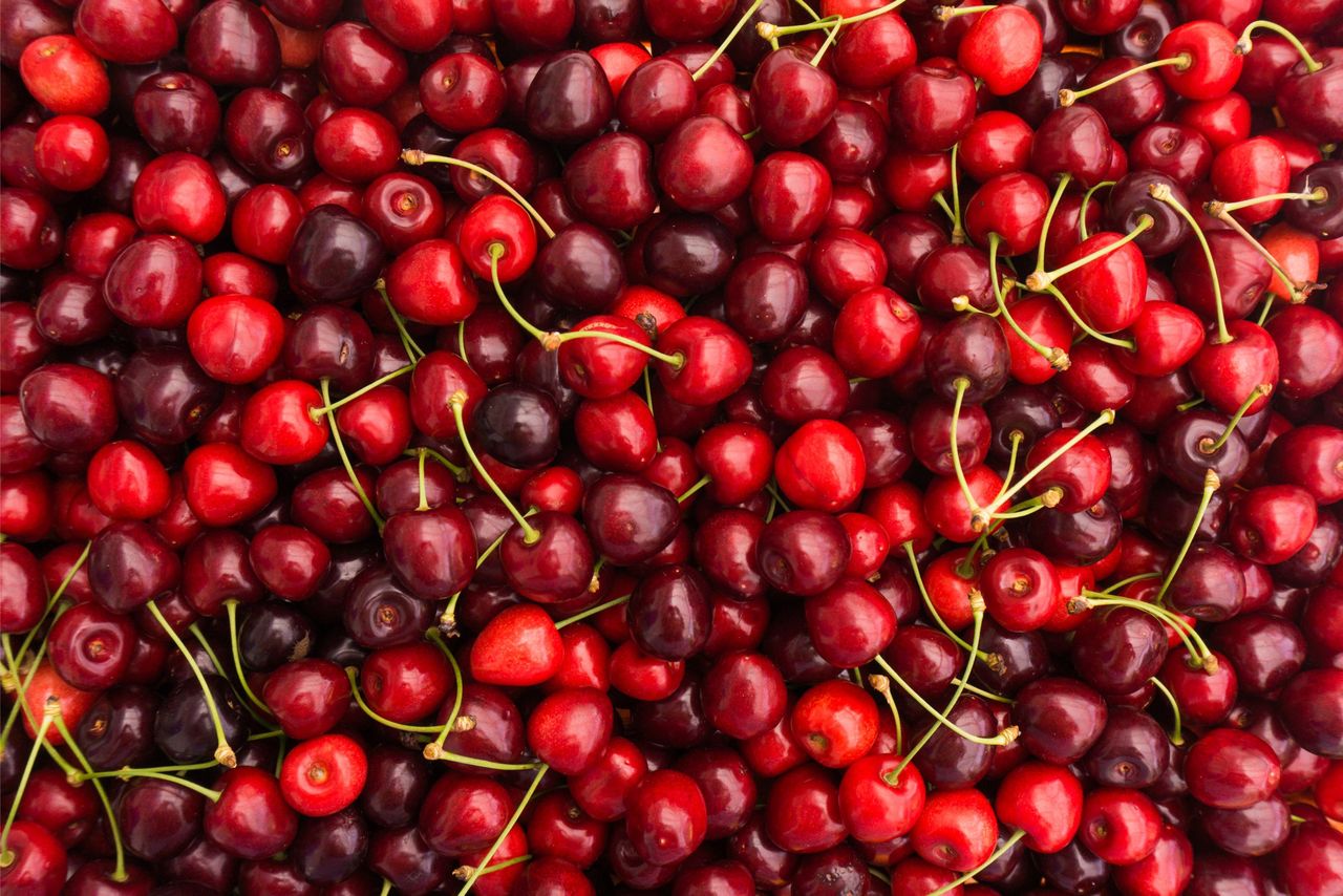 Op de Duitse markt worden Duitse kersen en frambozen uit de open teelten steeds schaarser, ten gunste van producten uit Marokko en Turkije. Foto: Canva