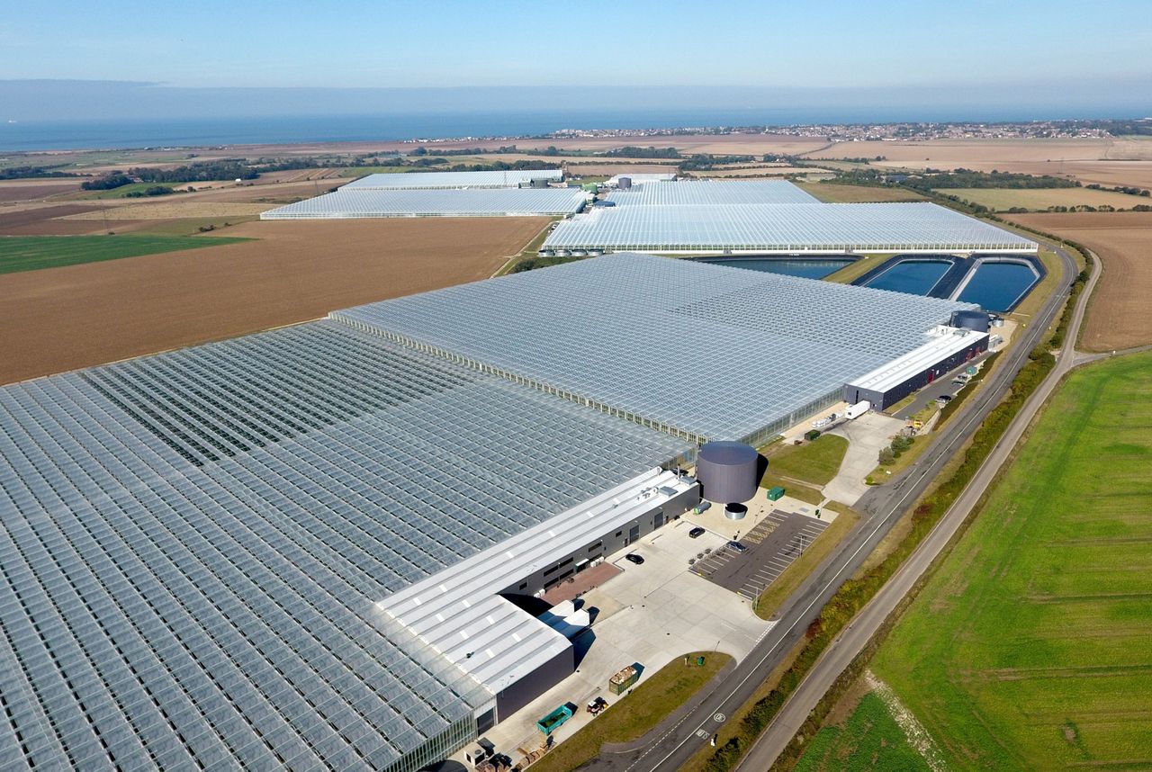 Thanet Earth, het grootste kassencomplex in Engeland, werd in 2005 gestart om het Europese teeltmodel (met teruglevering van stroom) in Engeland te introduceren. Foto: Thanet Earth