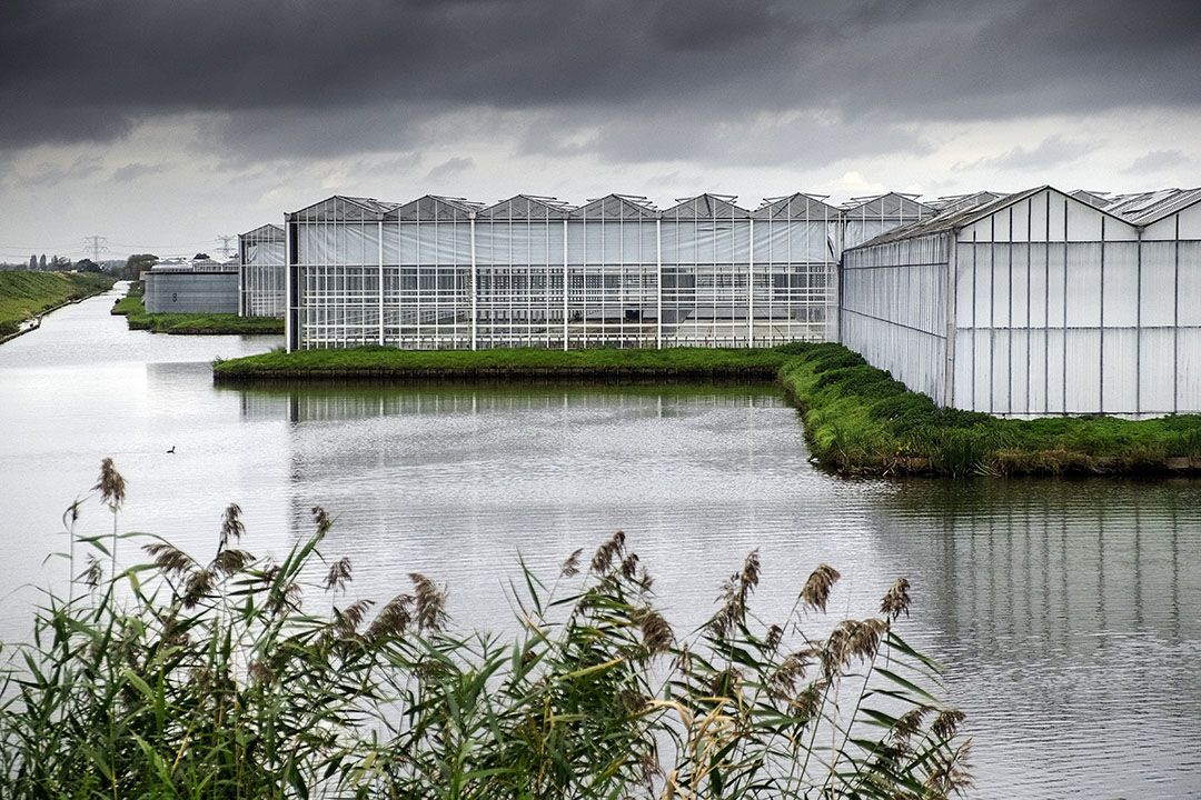 Kassen in Westland. Kassen op de foto niet gekoppeld aan het verhaal over uitstel. - Foto: ANP