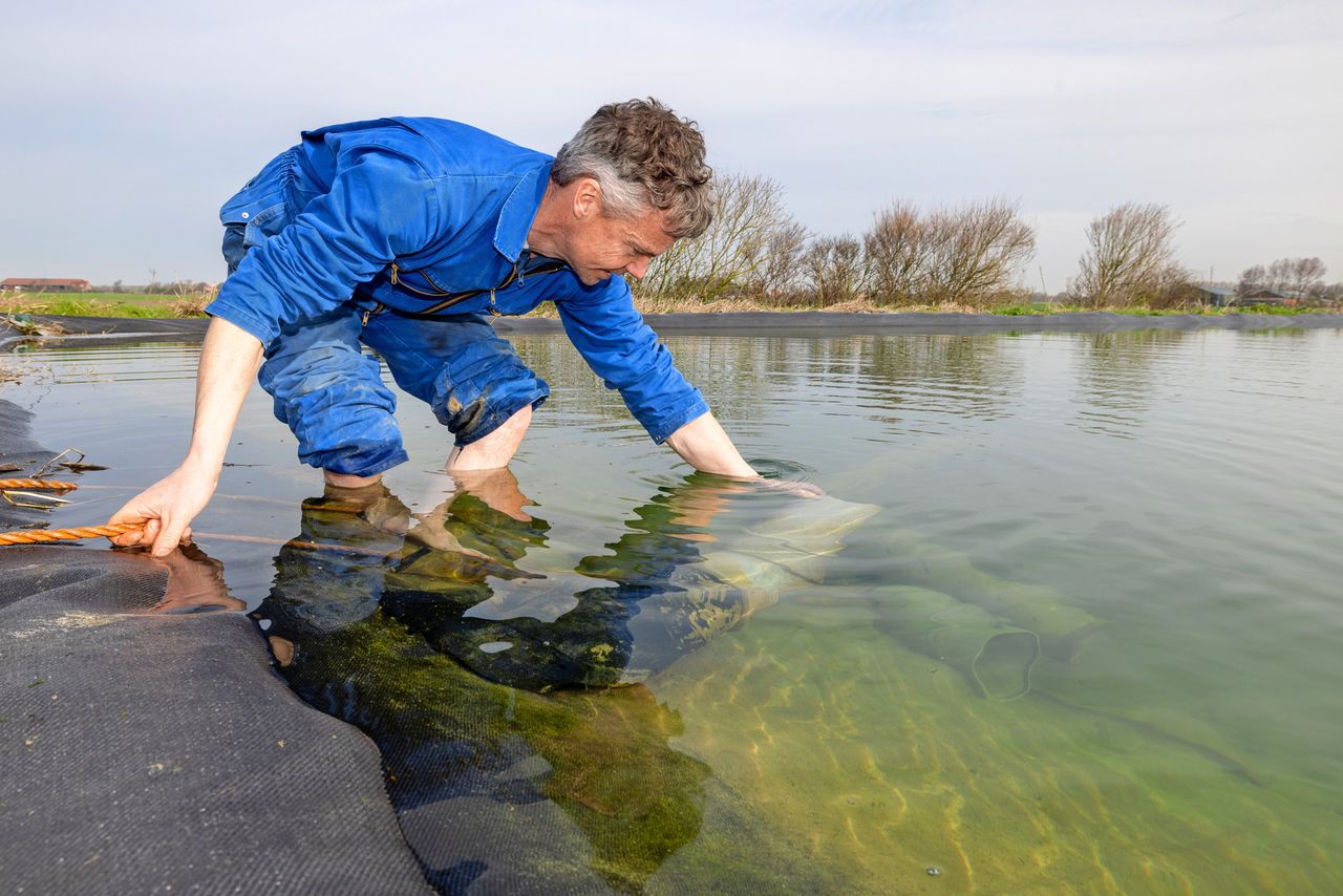 Bart Dekker beregent uit bassins en twee zoetwater bellen onder zijn eigen grond - Foto: Peter Roek