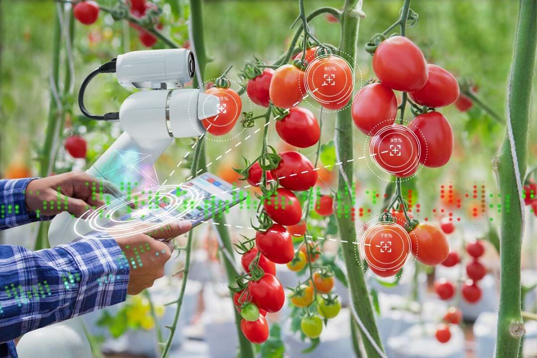 Het vastleggen van teeltdate wordt steeds belangrijker vanwege duurzaamheidseisen. - Foto: Canva/Kinwun