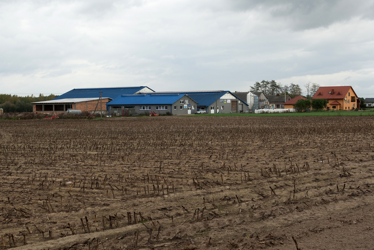 Een melkveebedrijf in Lubotyn, Polen. De gemiddelde grootte van een Pools boerenbedrijf is 10,5 hectare.</p> <p><em>Foto: Ronald Hissink</em>