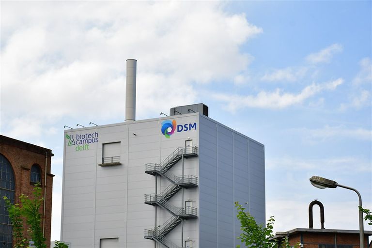 Een gebouw van chemieconcern DSM in Delft. De voedingstak van DSM groeit. - Foto: ANP