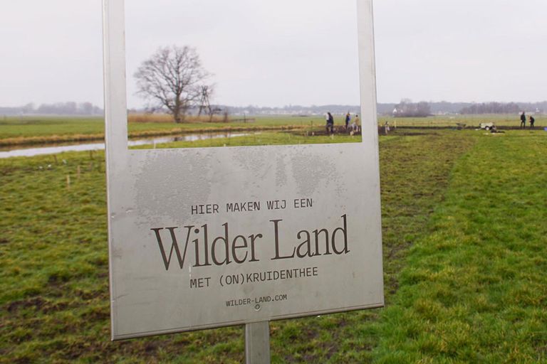 Foto: Wilder Land