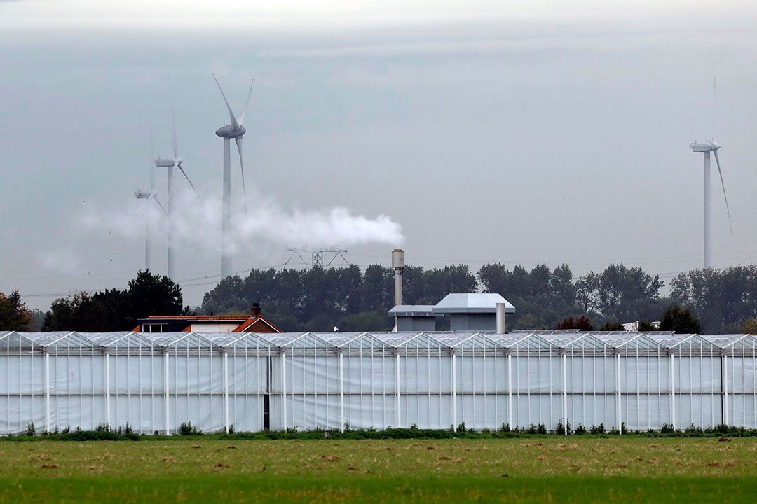 Windmolens en kassen bij Brielle. - Foto: Roel Dijkstra