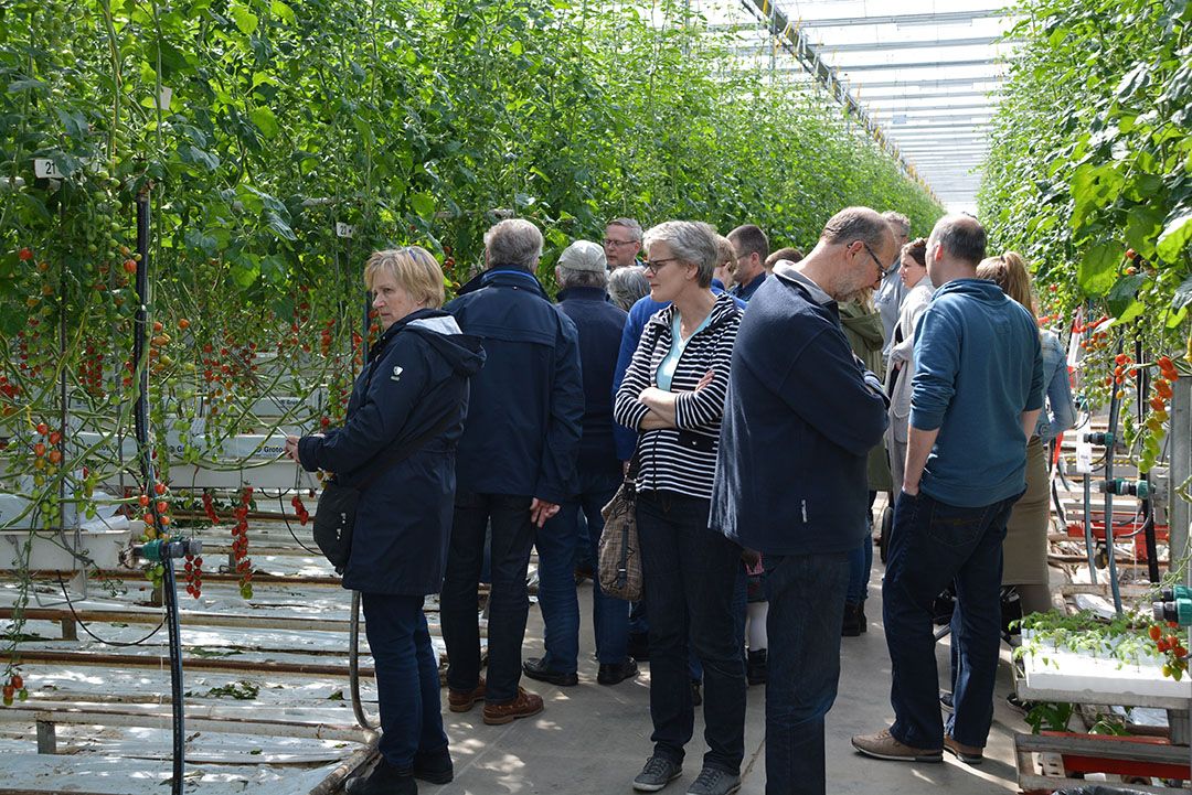 Tomaten kijken tijdens Kom in de Kas. - foto: Peter Visser