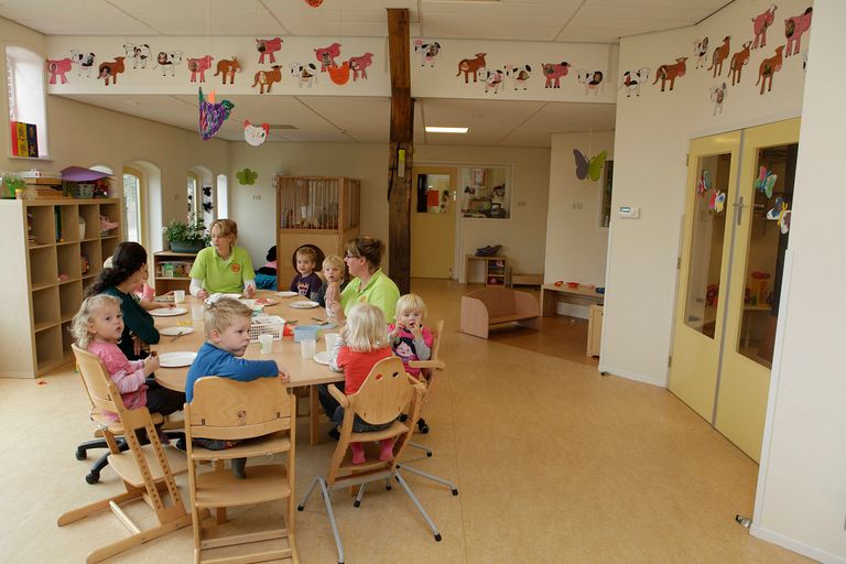 De prijs van biologische groente en fruit is een belemmering voor kinderopvangcentra om deze te serveren. - Foto: Hans Prinsen