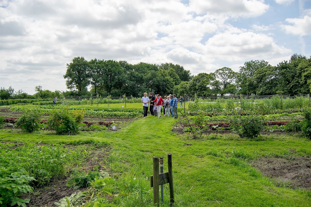 Foto: Tuinderij De Es