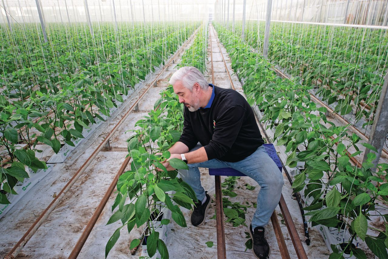 Er is geen haast gemaakt met planten vastzetten, om langer meer licht in de koppen te houden. Foto: Lex Salverda