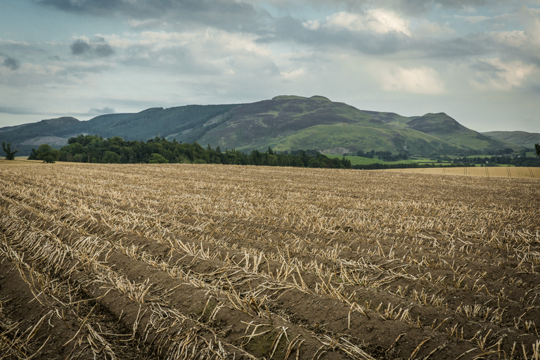 Bouwland in Schotland; de Britse grondprijzen dalen - Foto: Koos Groenewold