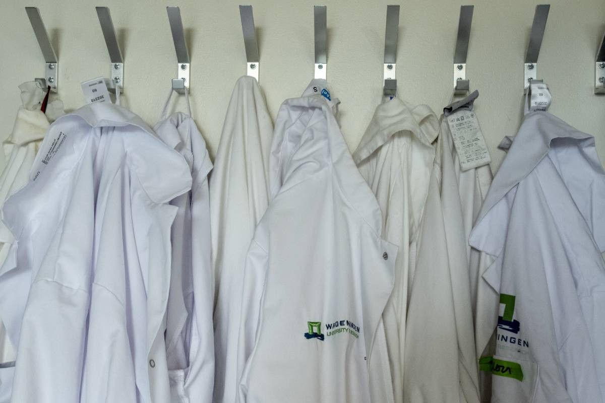 Wageningen University & Research moet bezuinigen. Onderzoekers staken. Foto: ANP