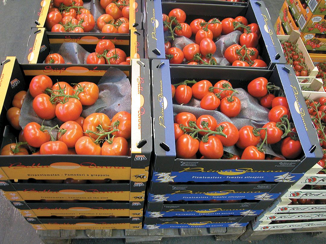 Trostomaten op groothandelsmarkt. - Foto: Groenten&Fruit