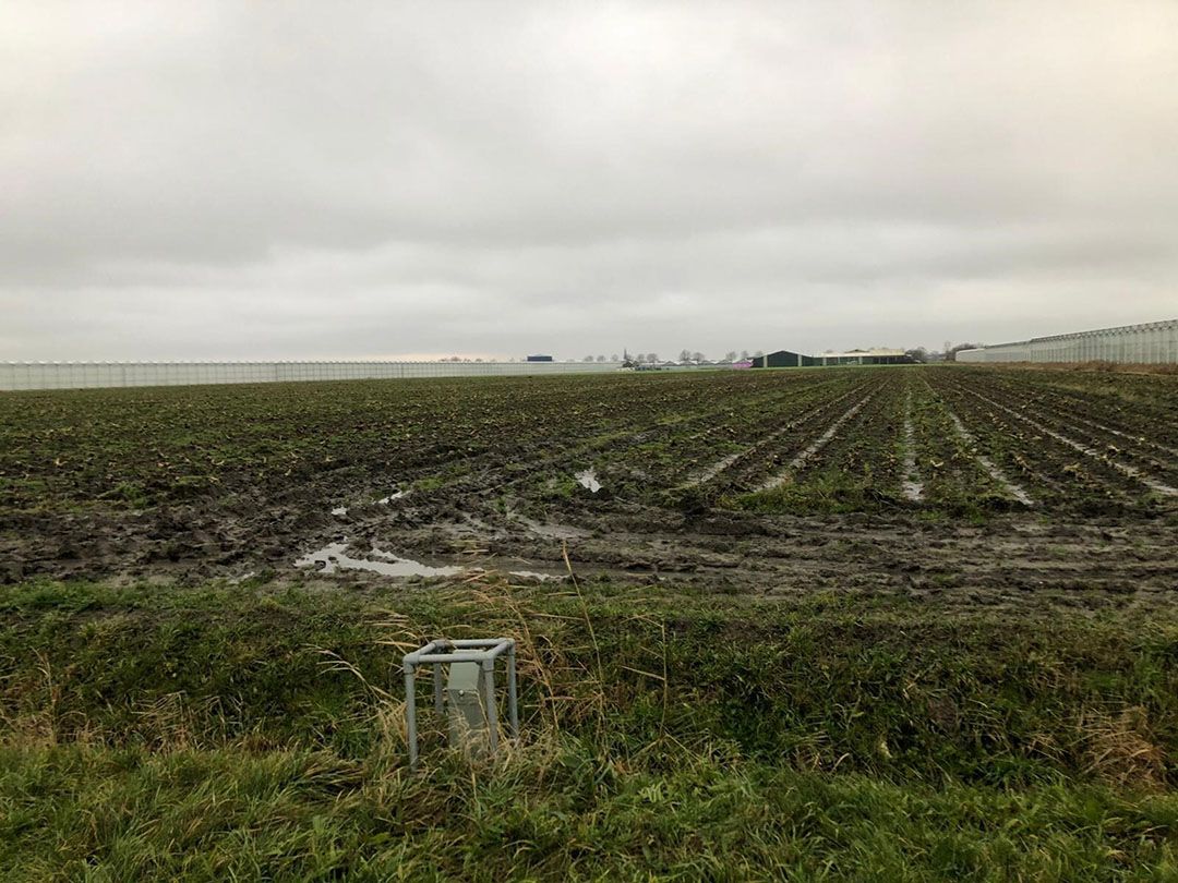 Perceel waarop warmte geleverd wordt door ECW Andijk en waar Arnaud van Dijk 12 hectare kassen gaat bouwen. - Foto: Growers United