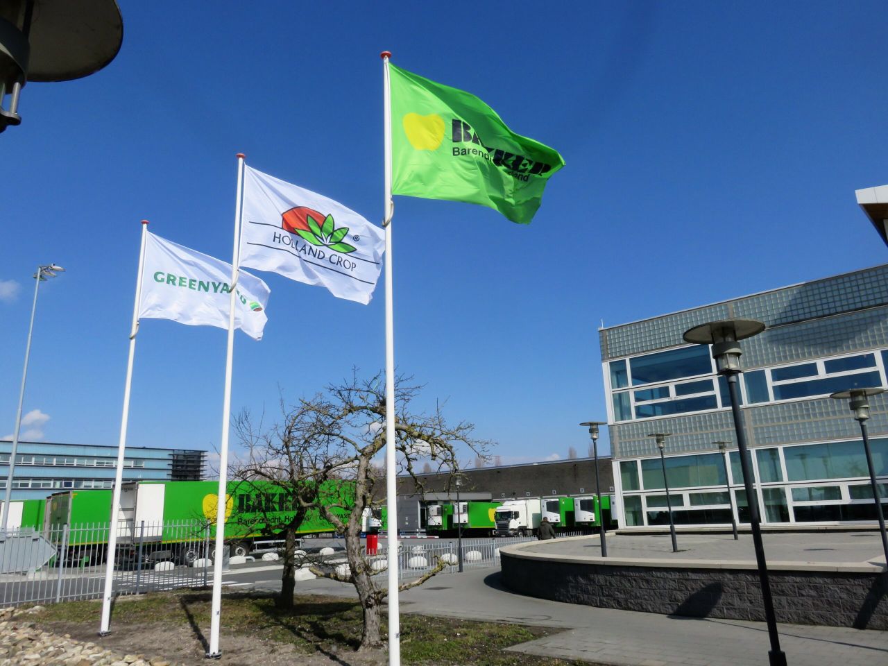 Greenyard: groei Nederland en krimp buurlanden