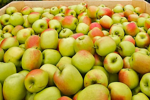 Budget schoolfruit herverdeeld