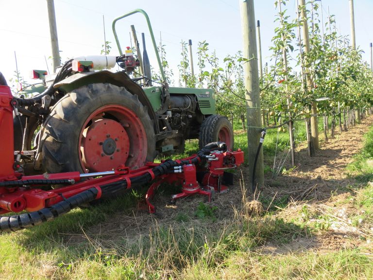 Ook biologische fruitteelt en fruitonderzoekers zijn betrokken bij dialoogsessies. - Foto: Ton van der Scheer