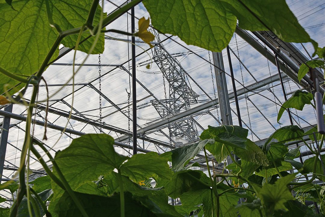 Tussen nu en 2050 zal jaarlijks iets meer dan ¬  10 miljard aan meerinvesteringen nodig zijn voor de energietransitie. - Foto: Peter Visser