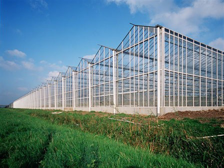 Teleurstelling over afblazen fusie BoF en Van Nature