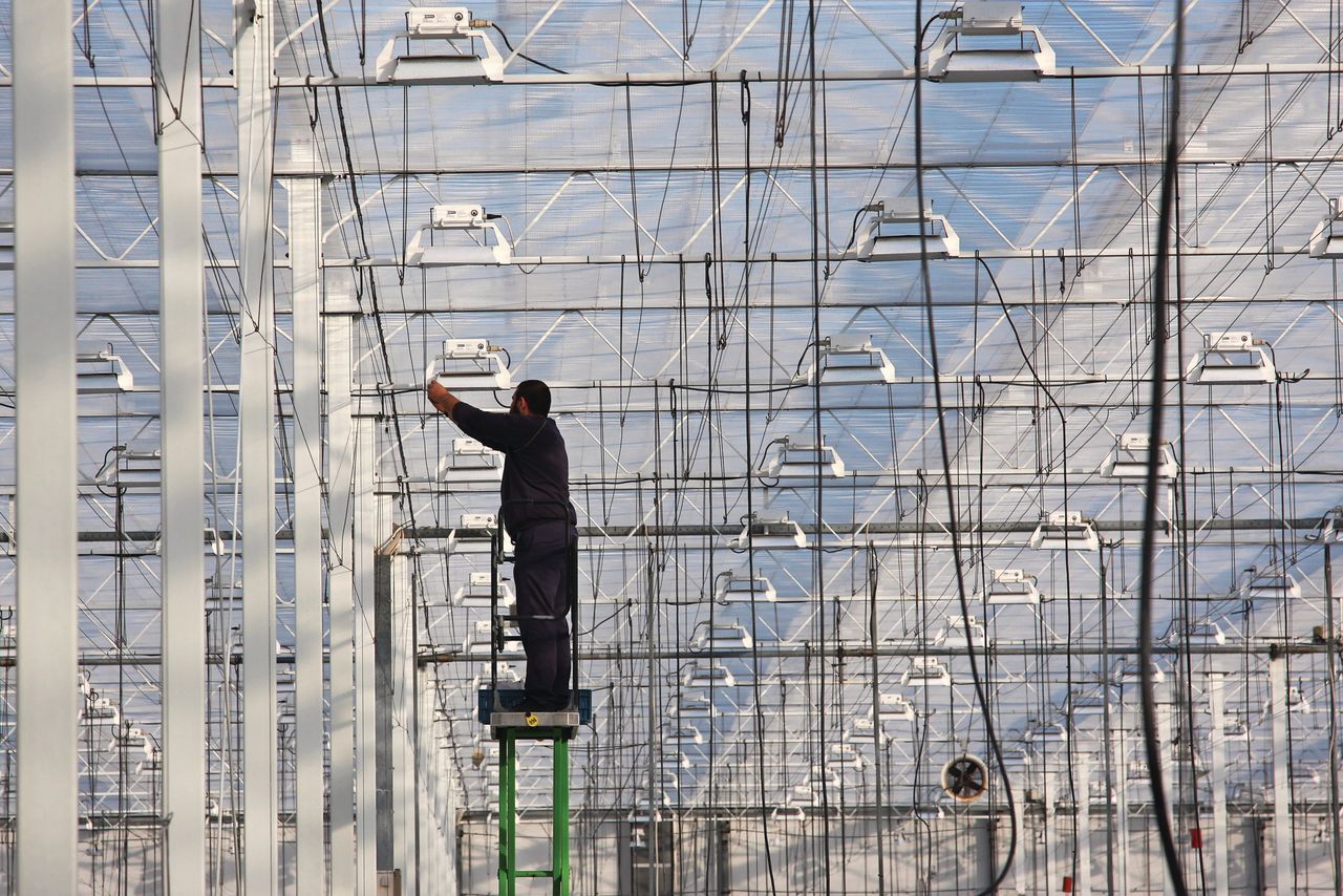 Gebruik van buisrailkar met schaarsysteem in de glastuinbouw. Het ongeval vond niet plaats in een kas plaats, maar in een teeltcel. Foto: Misset