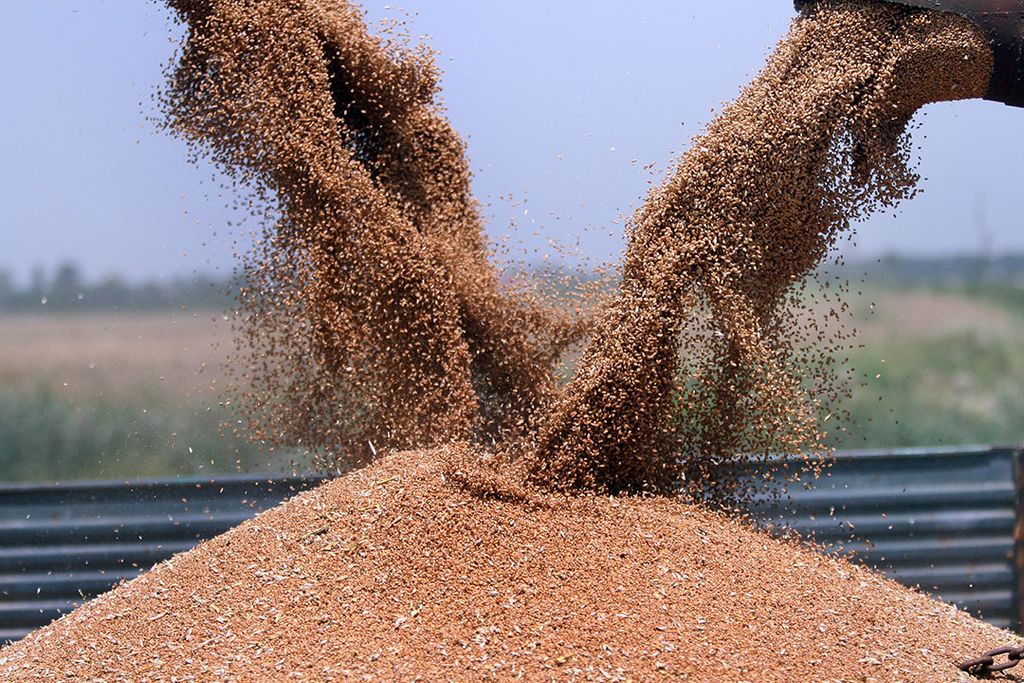 Rusland beweert al langer dat de EU-sancties de export van bijvoorbeeld graan en kunstmest hinderen. - Foto: Canva/Getty Images