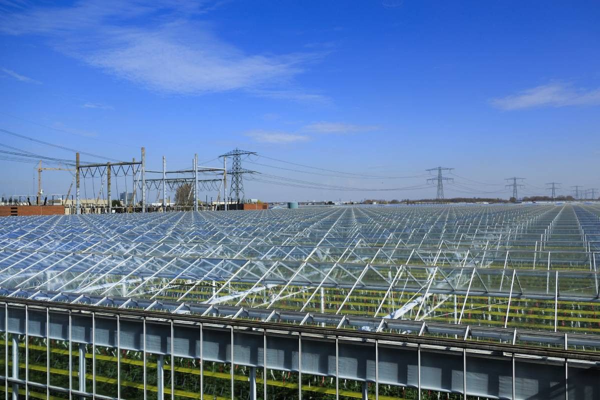 Het probleem netcongestie is een veelkoppig monster. Foto: ANP