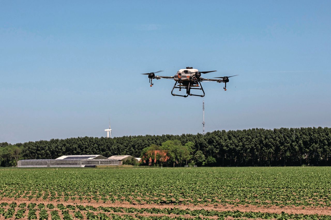 Drones zouden een rol kunnen gaan spelen bij precisiegewasbescherming, maar dan moet wel aan de eisen voor drift en dosering worden voldaan, vindt het kabinet. Foto: Anne van der Woude