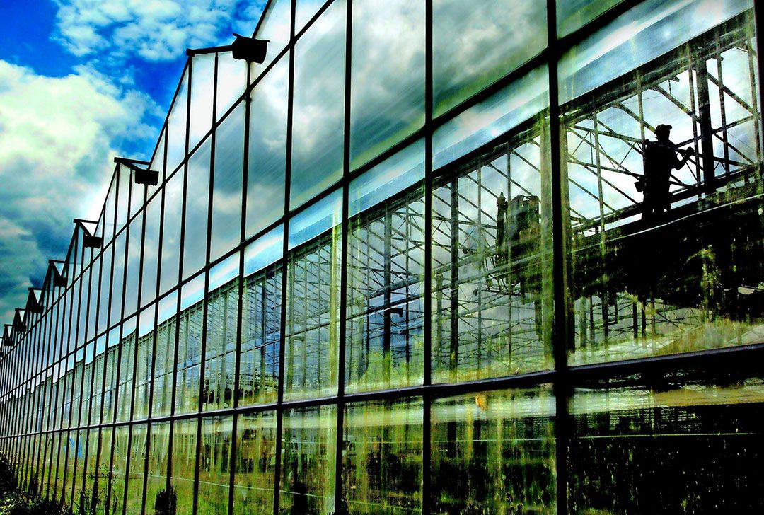 Herstructurering betekent slopen en nieuw ontwikkelen. Daarvan is in Bommelerwaard 120 hectare nieuw gebouwd sinds 2010. - Foto: Groenten & Fruit