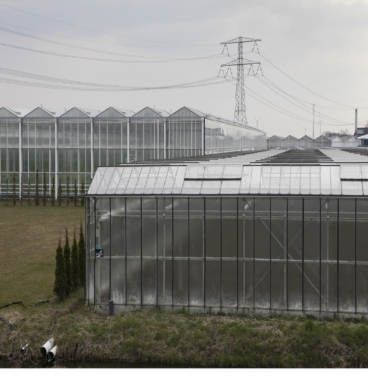 Noord- en Zuid-Holland willen tuinbouw op EU-agenda