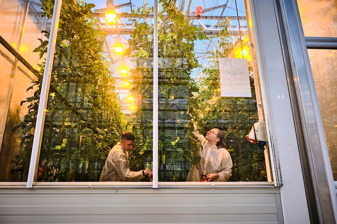 Studenten op onderzoek in het World Horti Center. - Foto: Fred Libochant