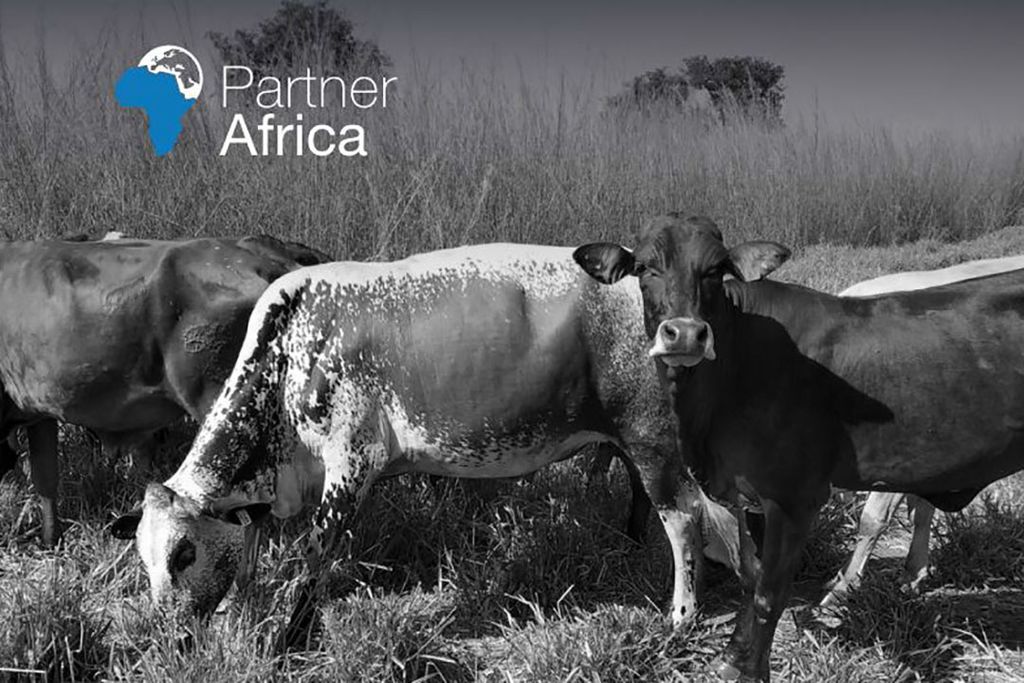 Cover van het onderzoeksrapport van Partner Africa. - Foto: Partner Africa